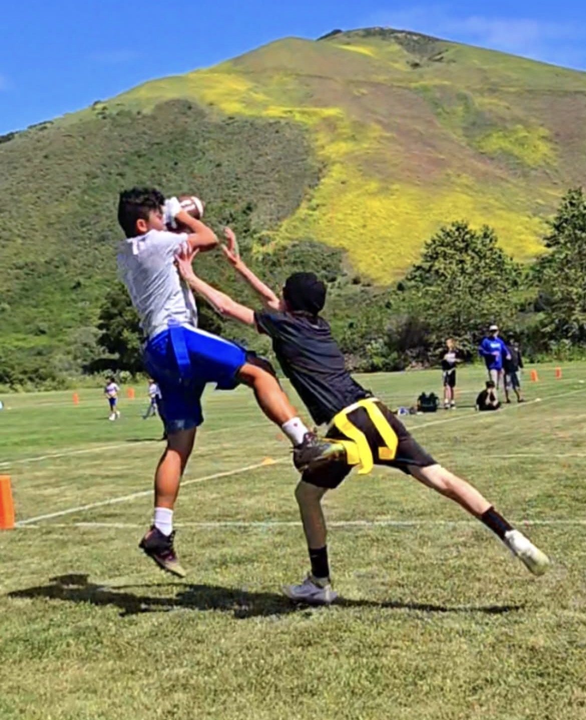 Receiver making a leaping catch in front of the hills